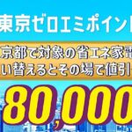 ゼロエミポイント‗Tiny