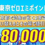 ゼロエミポイント‗Tiny