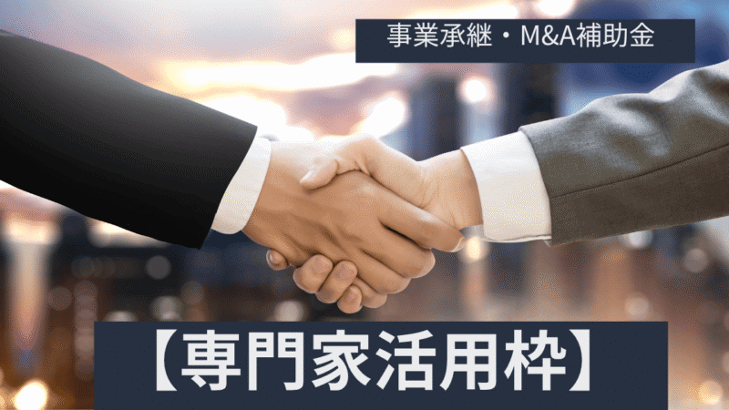 【2025年版】事業承継・M&A補助金「専門家活用枠」応用解説