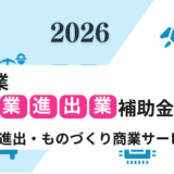【新事業進出補助金活用法】国策の歪みを補う_3つのリアル新事業案